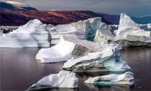 Arctic records warmest year on record